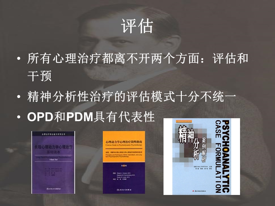 评估和程式化 精神分析.ppt_第2页