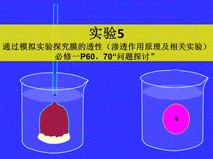 通过模拟实验探究膜的透.ppt