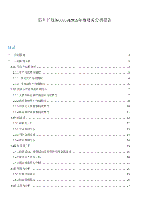 四川长虹2019年度财务分析报告.docx