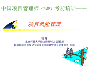 高级项目管理师-风险管理.ppt