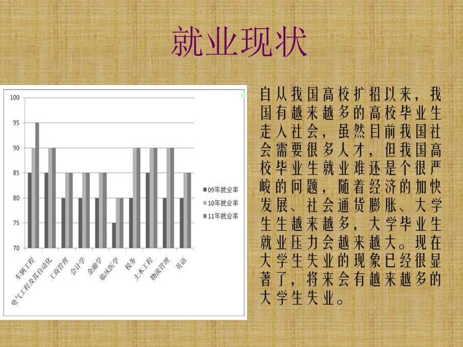 济学原理分析大学生就业现状.ppt_第2页