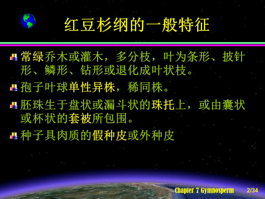 红豆杉纲Taxopsida.ppt_第2页