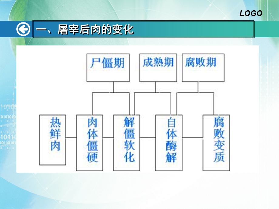 肉的腐败变质及措.ppt_第3页