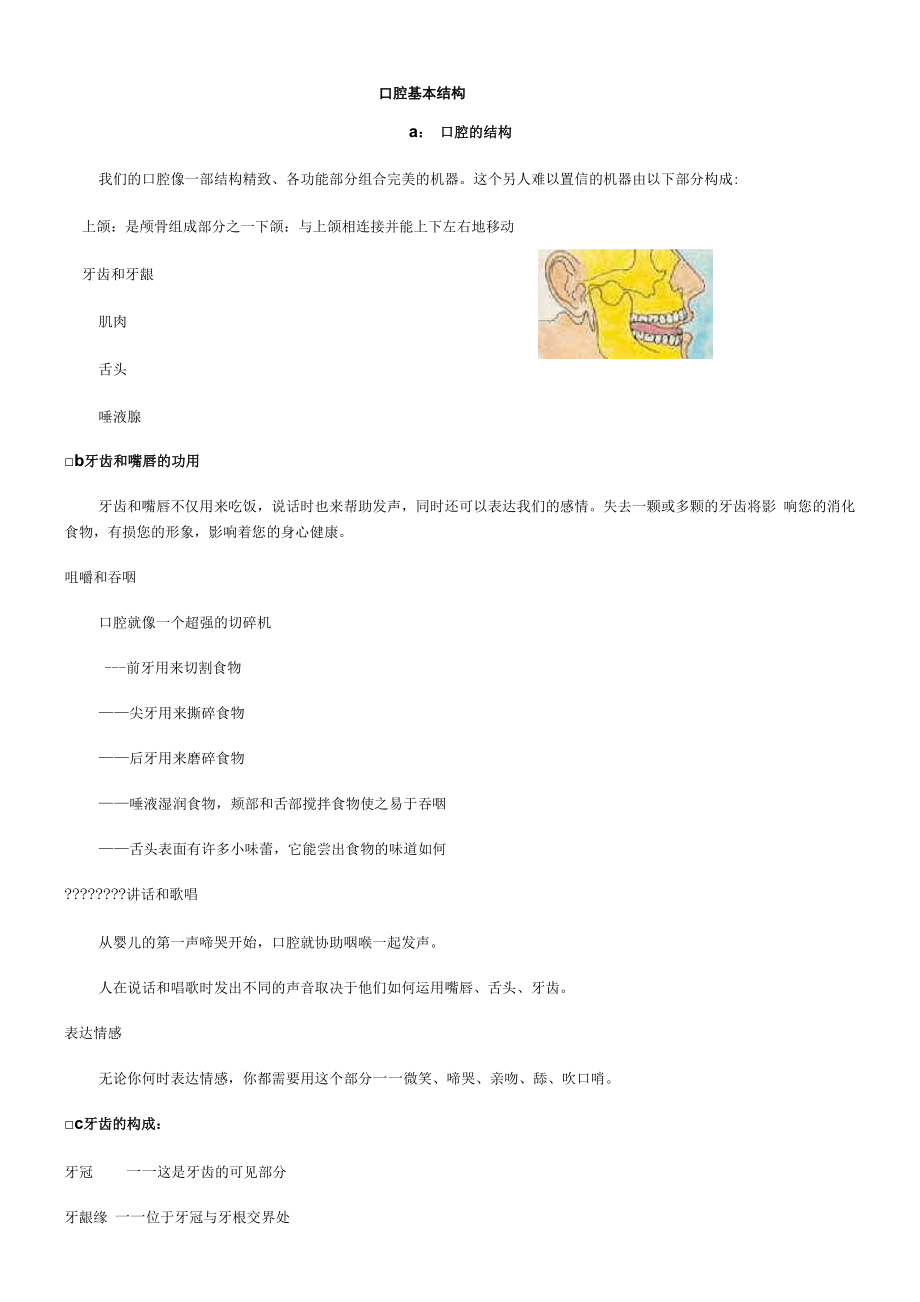 口腔基本结构.docx_第1页