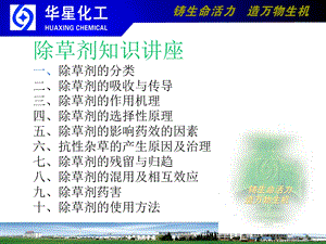 除草剂知识讲座.ppt