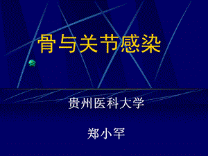 骨与关节感染教学.ppt