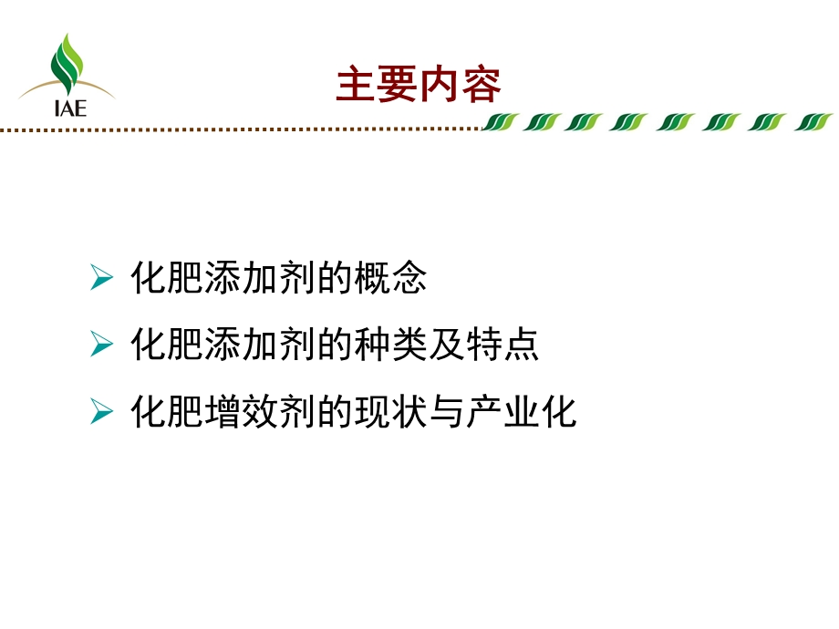 肥料添加剂的种类及特.ppt_第2页