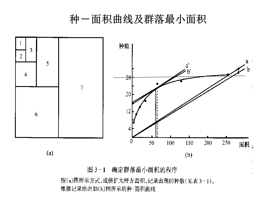 群落多样性与稳定性.ppt_第3页