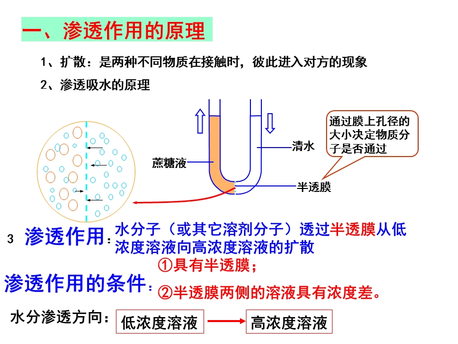 高三复习-物质跨膜运输的实例(上课用).ppt_第2页