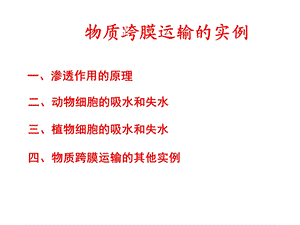 高三复习-物质跨膜运输的实例(上课用).ppt