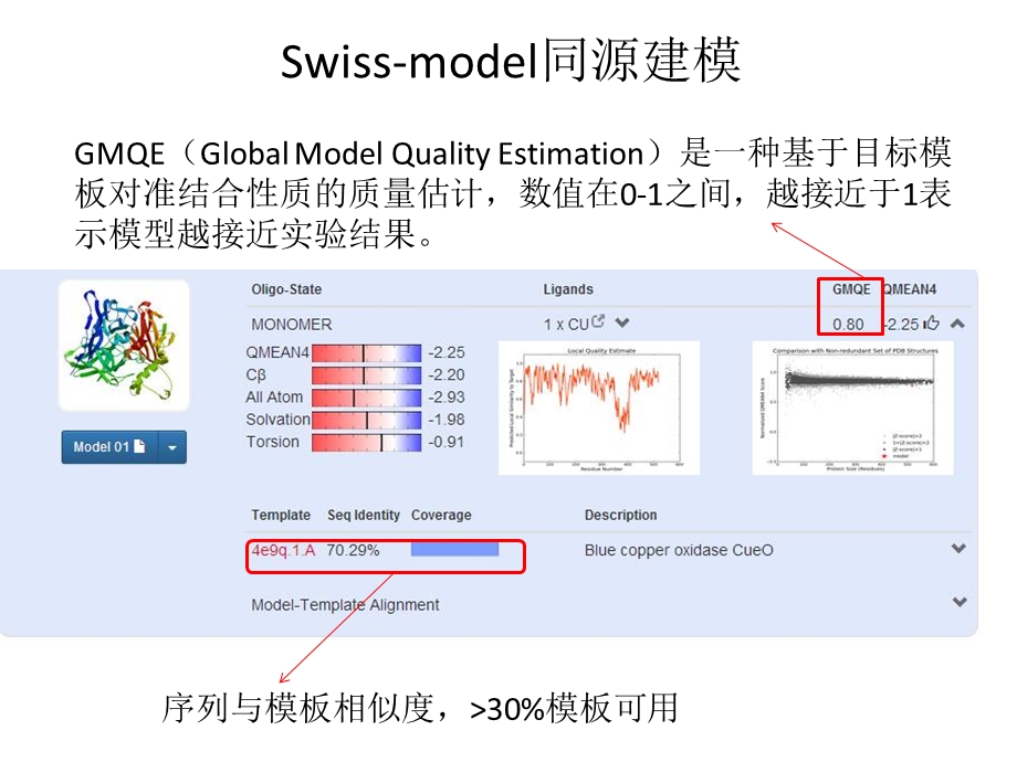 蛋白同源建模.ppt_第3页