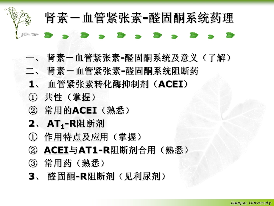 肾素血管紧张素系统药理.ppt_第2页