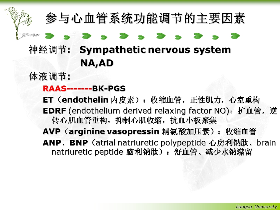 肾素血管紧张素系统药理.ppt_第3页