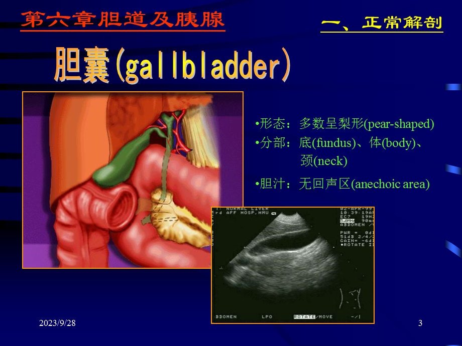 胆道及胰腺超声.ppt_第3页