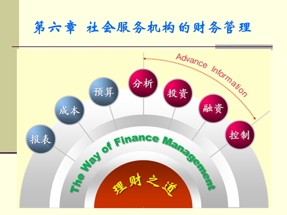 社会服务机构的财务管理.ppt_第1页