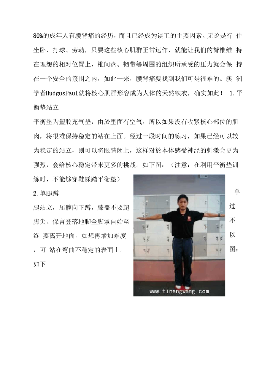 十种核心力量训练方法.docx_第2页