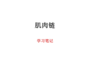 肌肉链学习笔记.ppt