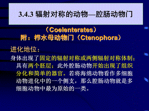 辐射对称的动物-腔肠动物门.ppt