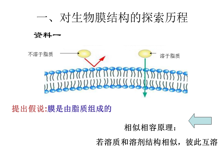 高一生物必修一-生物膜的流动镶嵌模型-课件.ppt_第2页