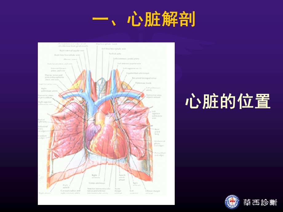 超声心动图-正常-ppt.ppt_第3页