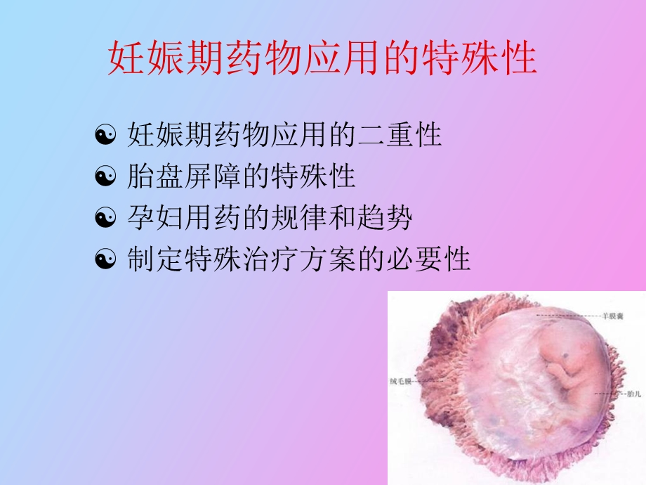 试述妊娠期用药原则.ppt_第3页