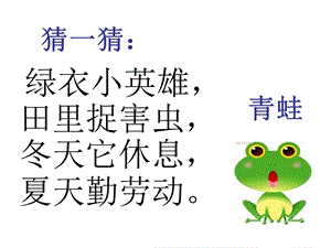 识字3《小青蛙》PPT课件.ppt