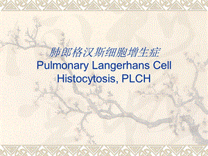 医学ppt肺郎格罕细胞增生症.ppt