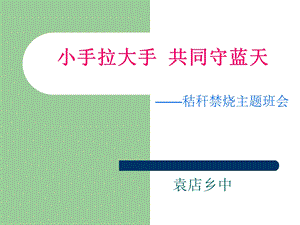 秸秆焚烧主题班会.ppt