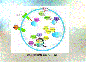 蛋白质翻译后修饰.ppt