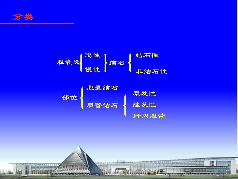 胆道感染及胆石症.ppt_第3页