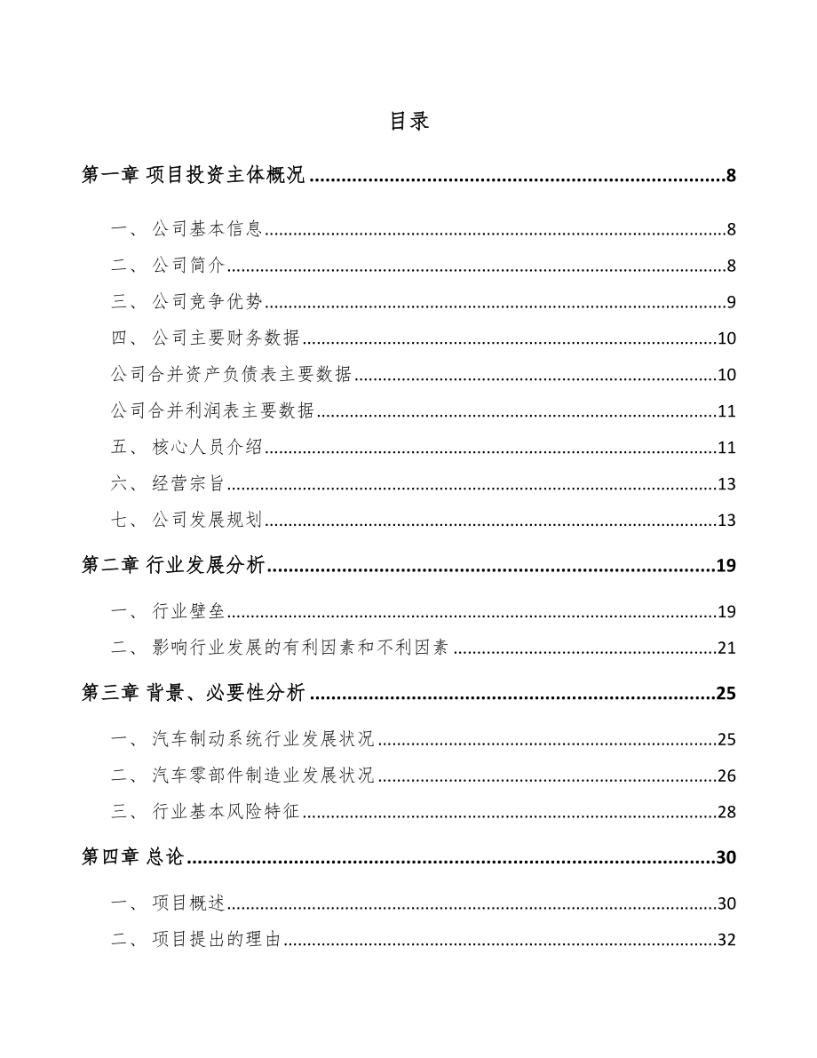 岳阳汽车制动器总成项目可行性研究报告.docx_第1页