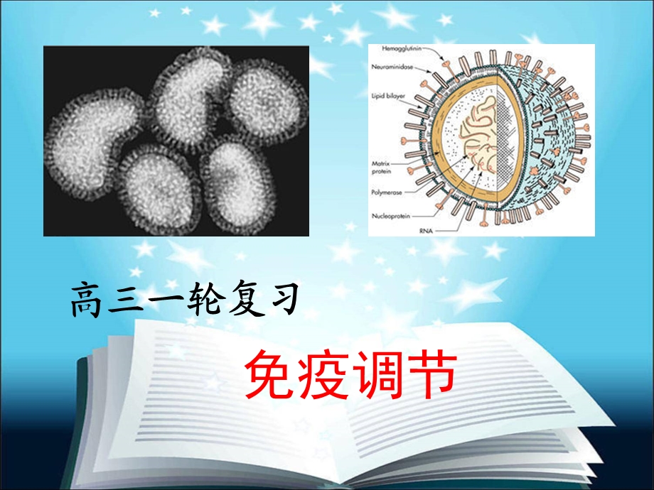 高三生物一轮复习-免疫调节-市优秀课件.ppt_第2页