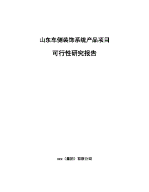 山东车侧装饰系统产品项目可行性研究报告.docx