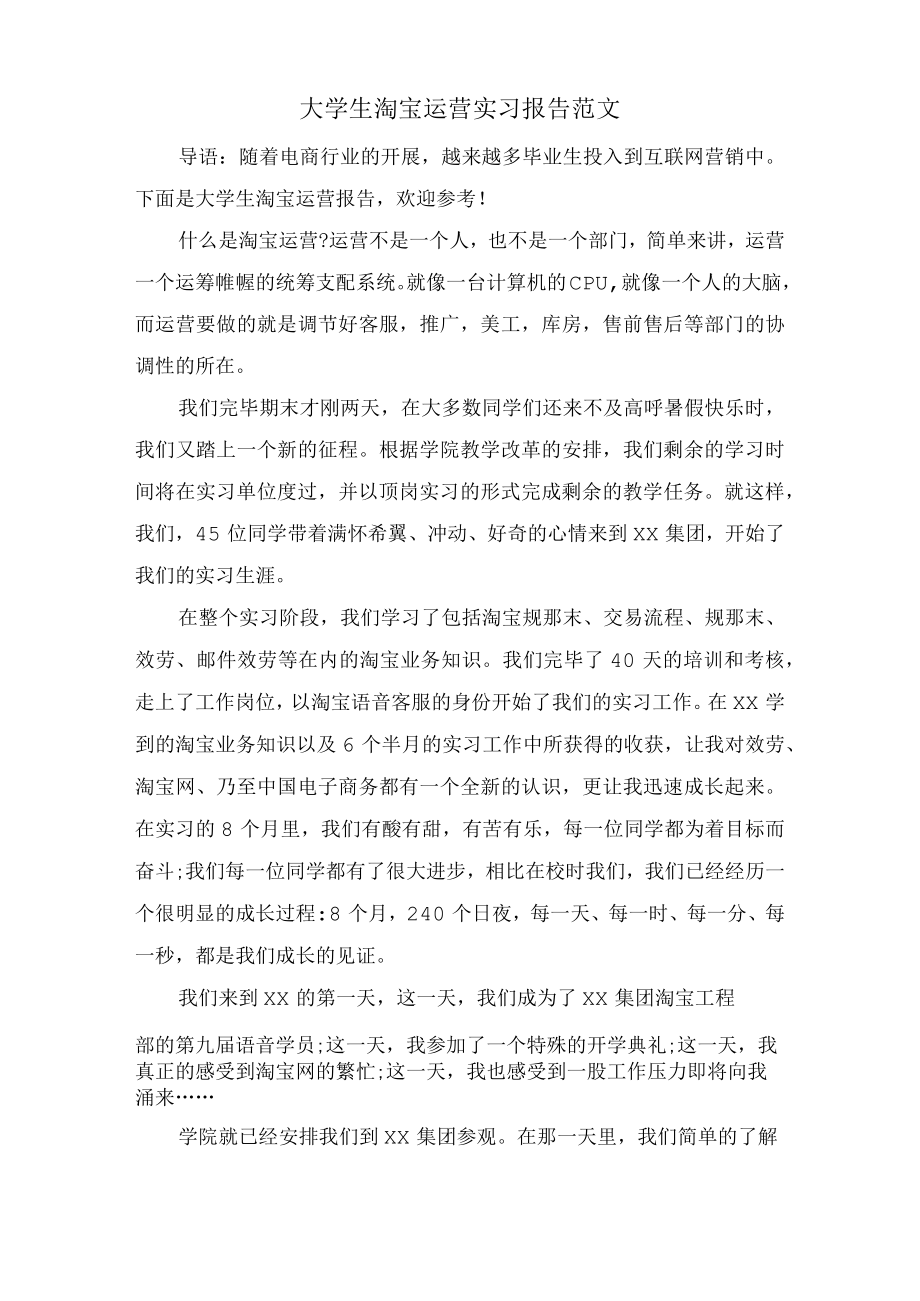 大学生淘宝运营实习报告范文.docx_第1页