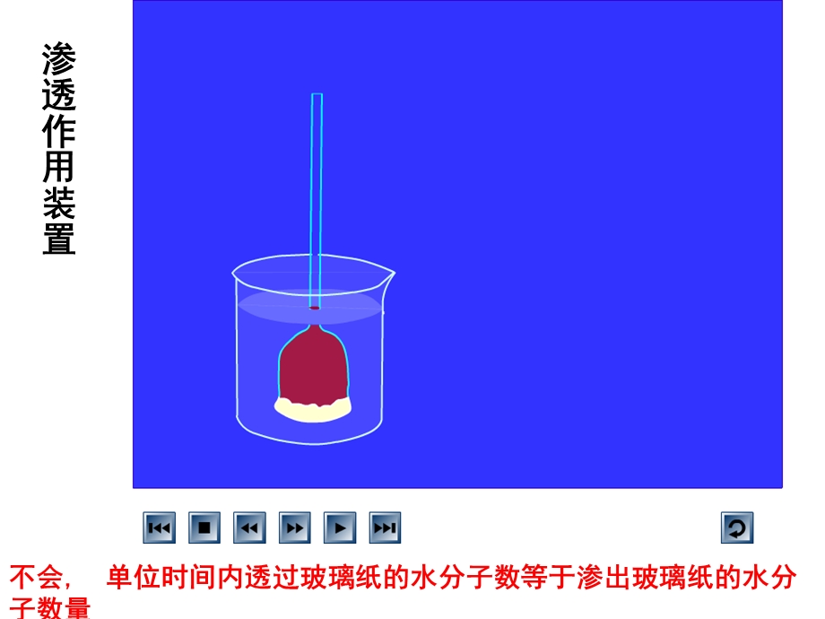 高二生物物质跨膜运输的实例.ppt_第2页