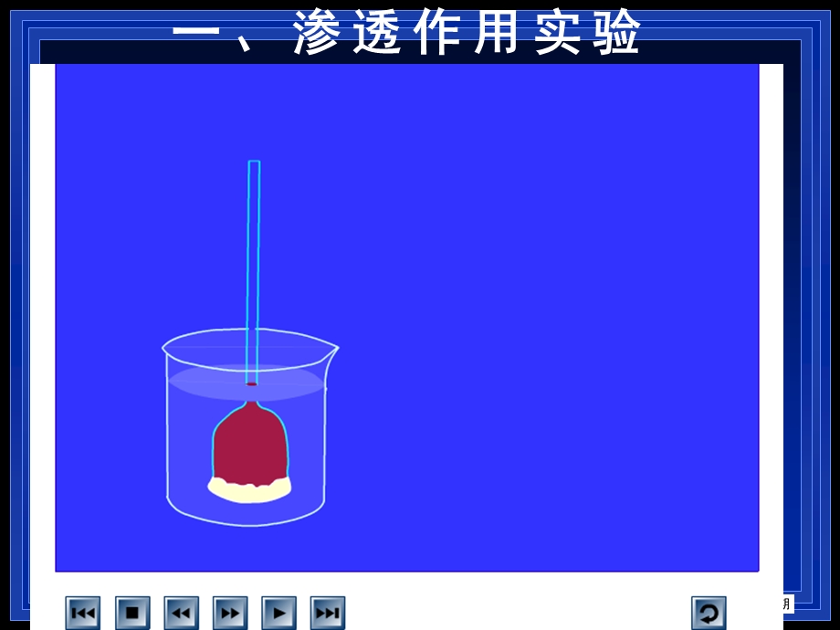 高一生物(第一节物质跨膜运输的实例).ppt_第2页