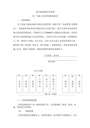 项目机构组织及管理.docx