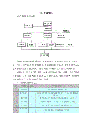 项目管理组织.docx