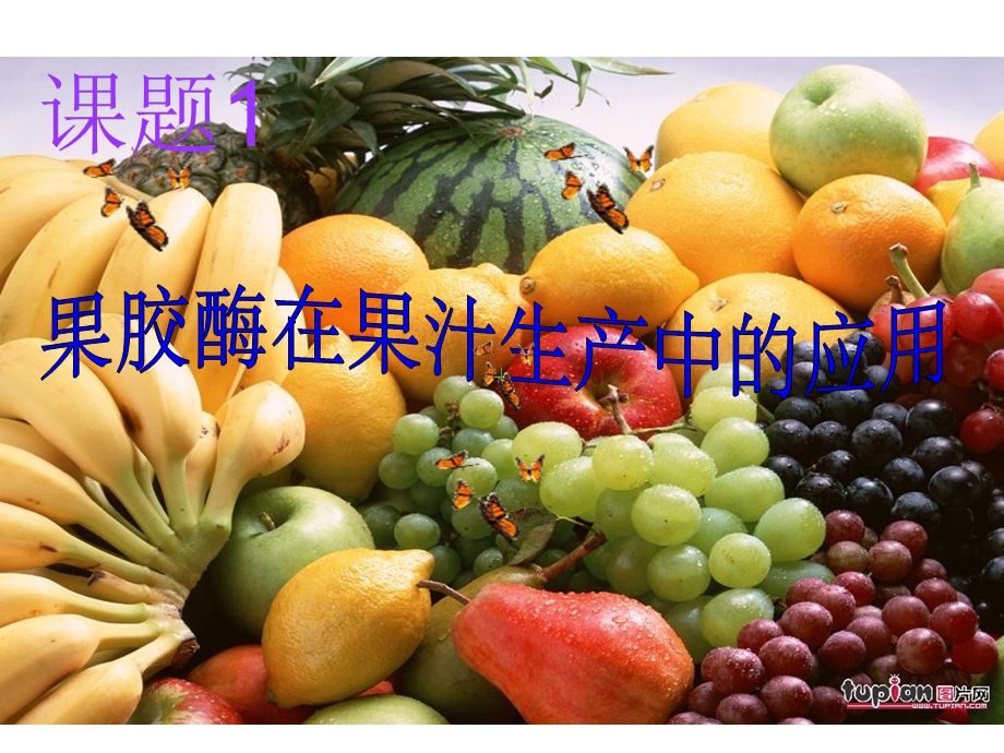 《果胶酶在果汁生产中的应用》.ppt_第1页