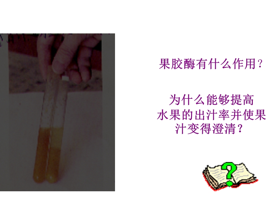 《果胶酶在果汁生产中的应用》.ppt_第3页