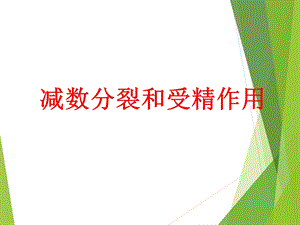 减数分裂动画全过.ppt