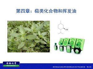 南农植物化学第四章萜类化合物和挥发油.ppt