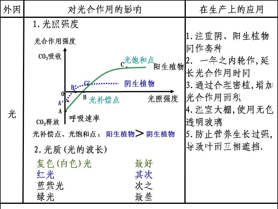 光合作用的因素.ppt_第3页