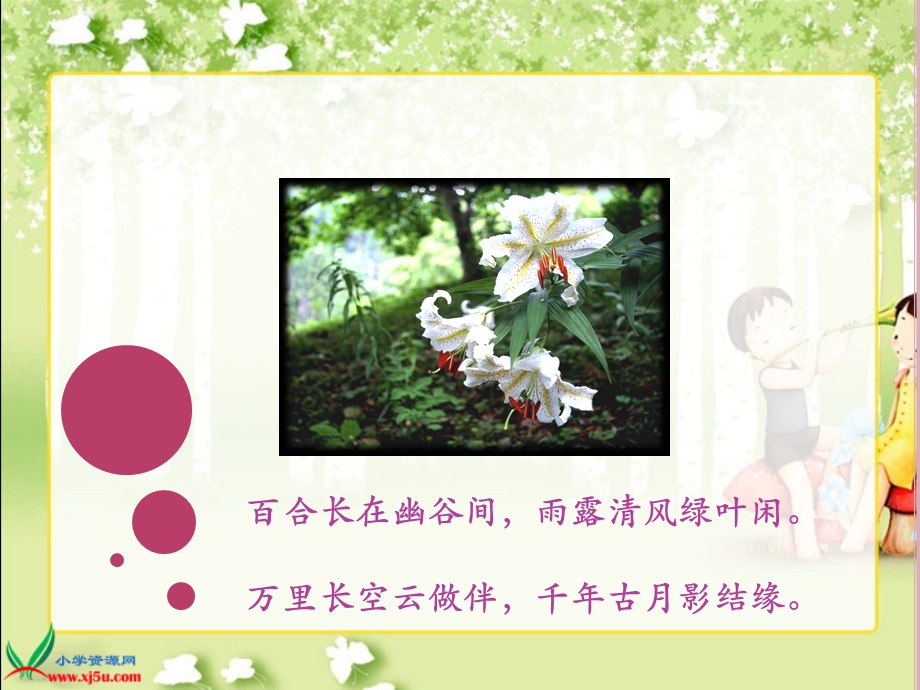 冀教版(百合花开).ppt_第1页