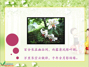 冀教版(百合花开).ppt