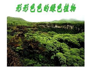 冀教版七年级生物第三节藻类植物.ppt