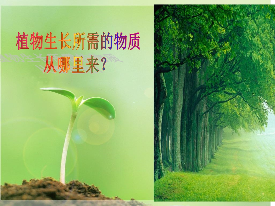 光合作用的探究历程省优质课宜昌市一中曾芳.ppt_第3页