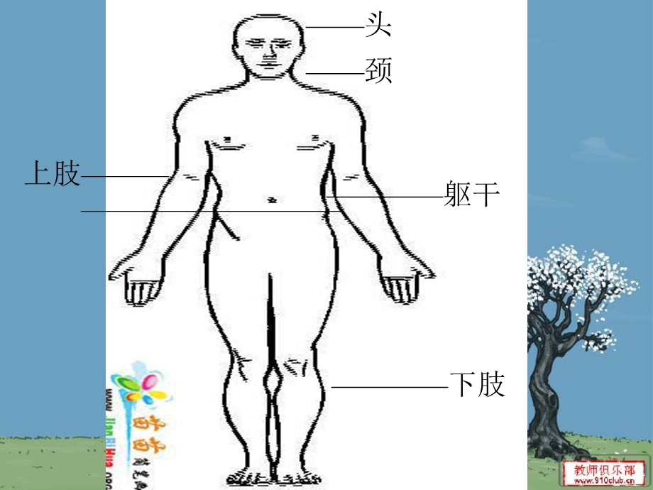 冀教版小学科学三年级《认识自己》.ppt_第3页