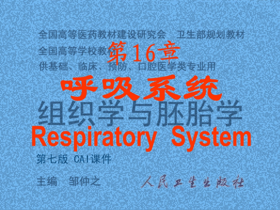 呼吸系统(带解剖图和切片图).ppt_第1页