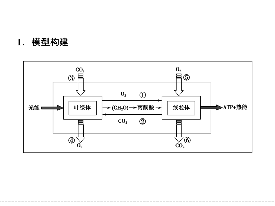 光合作用和细胞呼吸综合题型专训.ppt_第3页